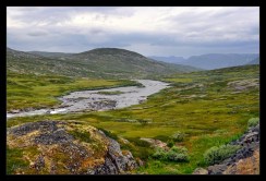 _DSC3063-PS _DSC3063-PS