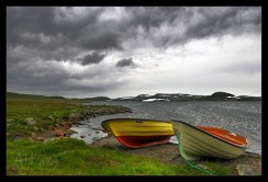 _DSC3136-PS _DSC3136-PS