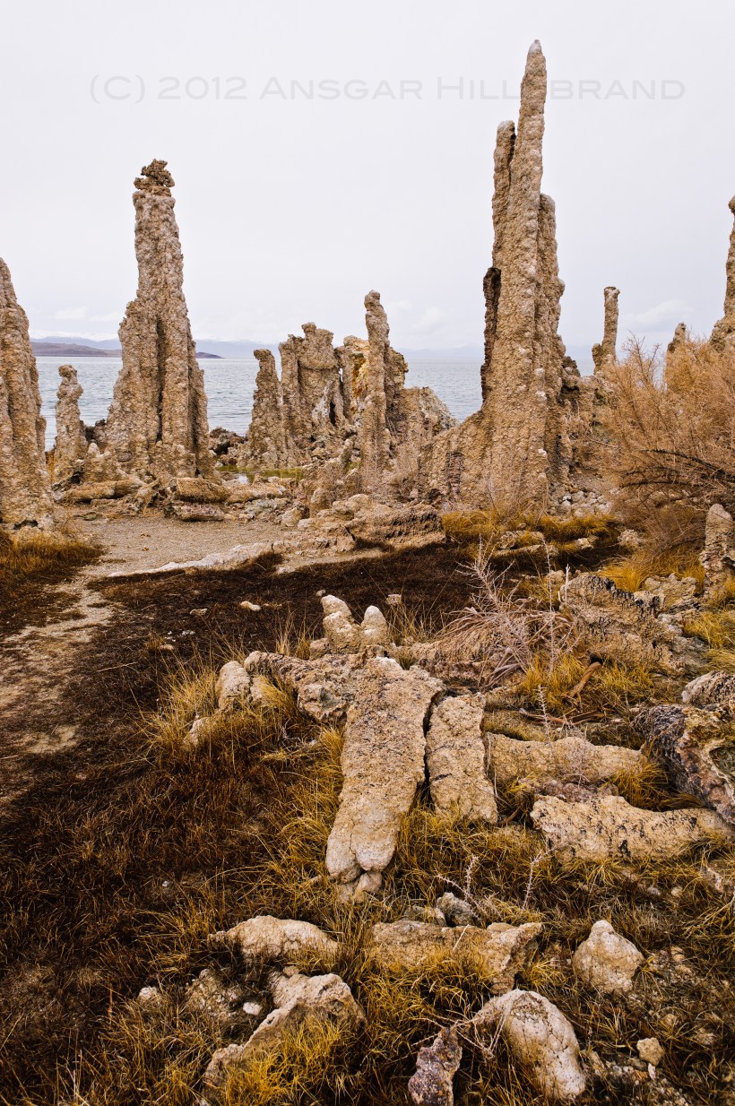 Mit der Nikon D2x am Mono-Lake - Nr. 2