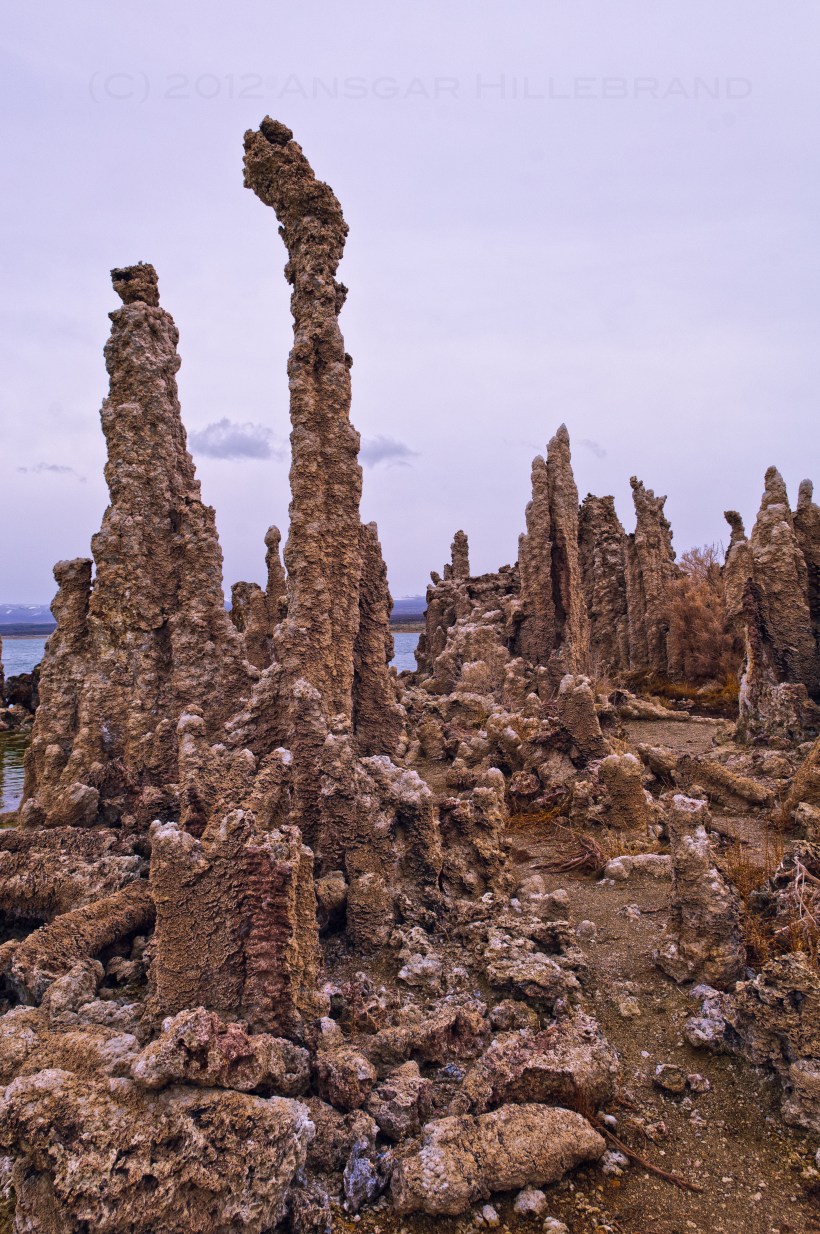 Mit der Nikon D2x am Mono-Lake - Nr. 1