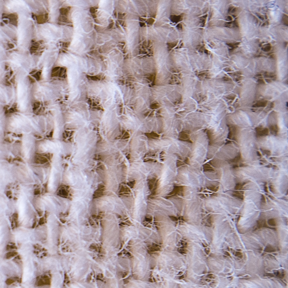 Fuji-Finepix-X100-Macro-Beispiel-100%