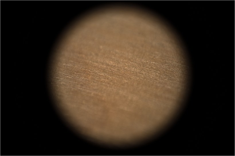 Fuji-Finepix-X100-Macro-Example