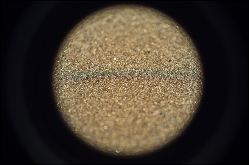 Fuji-Finepix-X100-Macro-Example 3