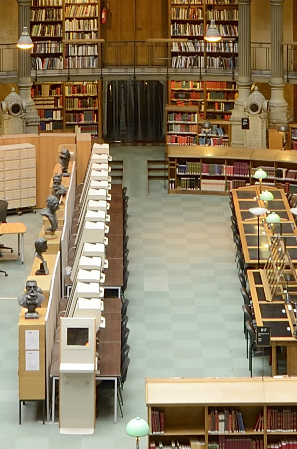 nikon-d800-sample-library-crop