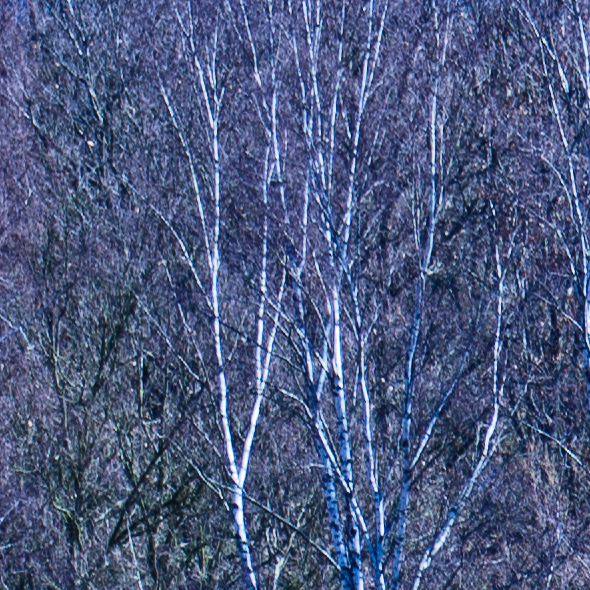 28-80-100Percent-Crop-TopLeft