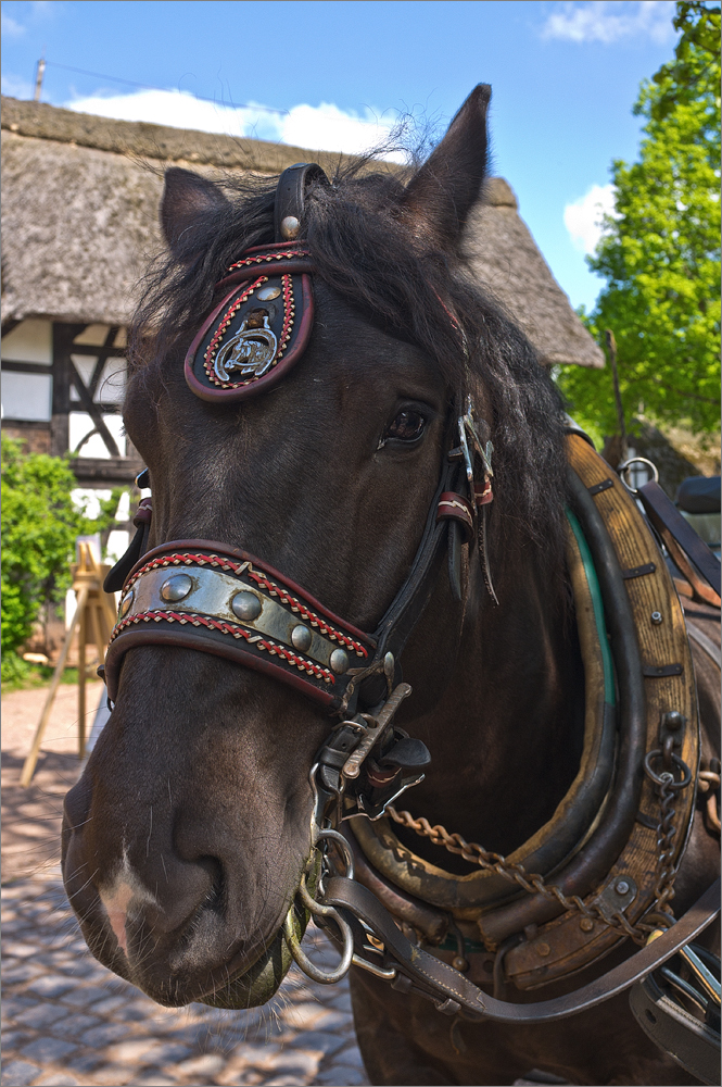 Fuji Finepix X100 - Rheinisches Freilichtmuseum Kommern