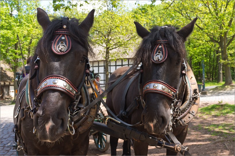 Fuji Finepix X100 - Rheinisches Freilichtmuseum Kommern