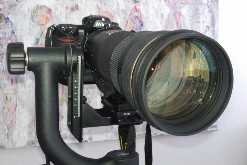 Nikon D2x mit Nikon AF-S 4/200-400mm VR und einer Affenschaukel