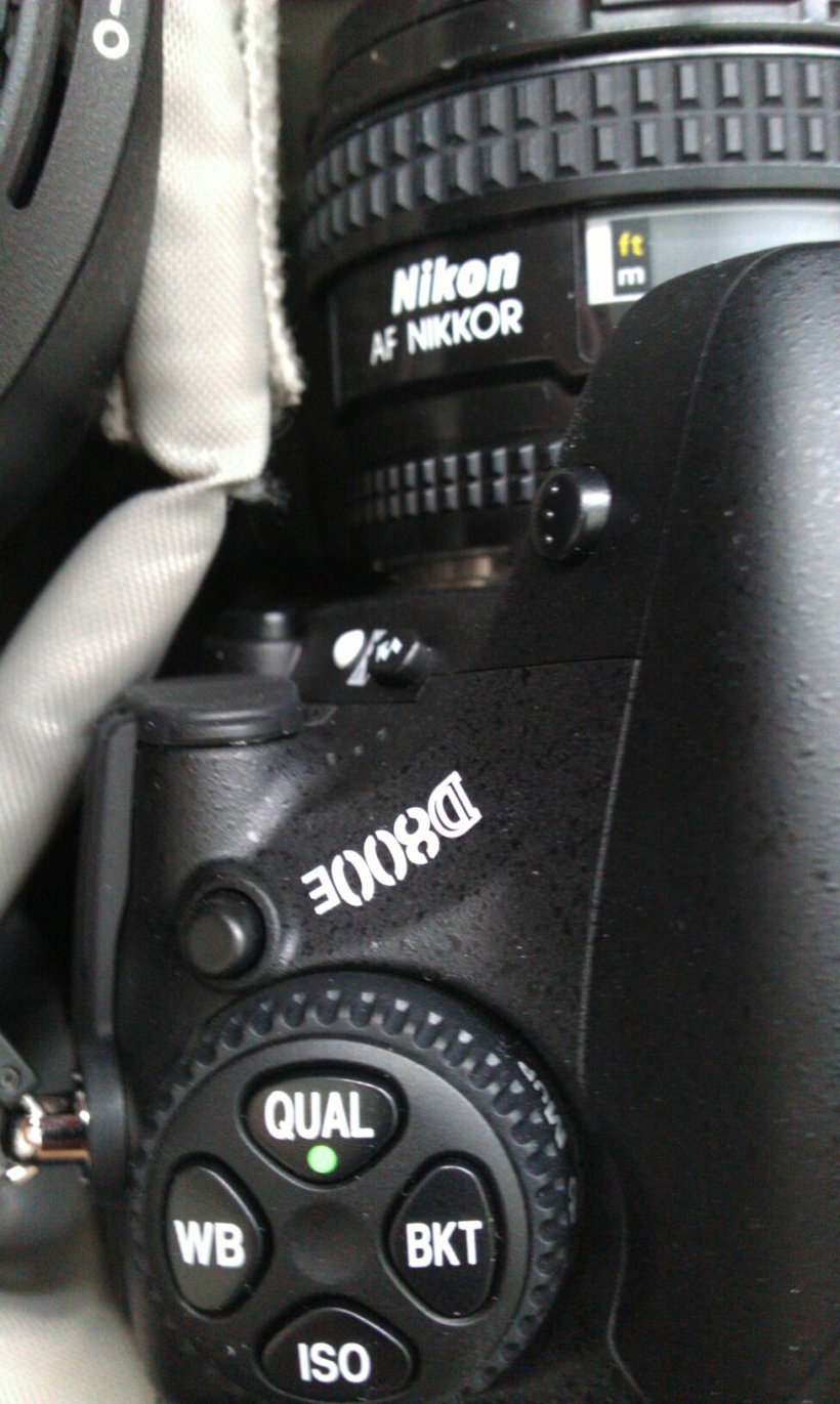 471842_343470625723047_2086899456_o Nikon D800E mit AF-D 2.8/20mm