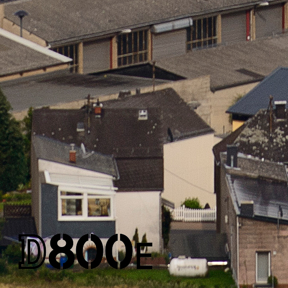 100% Crop - Nikon D800E Nikkor AF-S VR 2.8/70-200mm