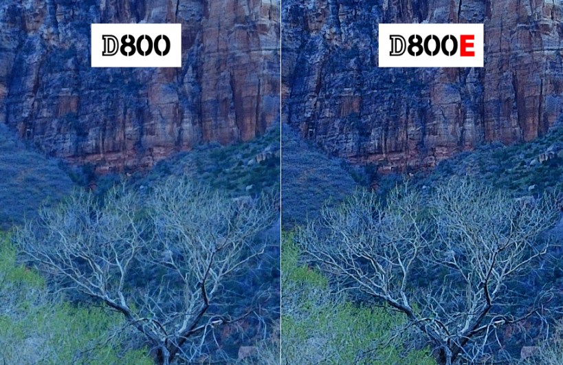 Nikon-D800-versus-D800E Nikon D800 versus Nikon D800E