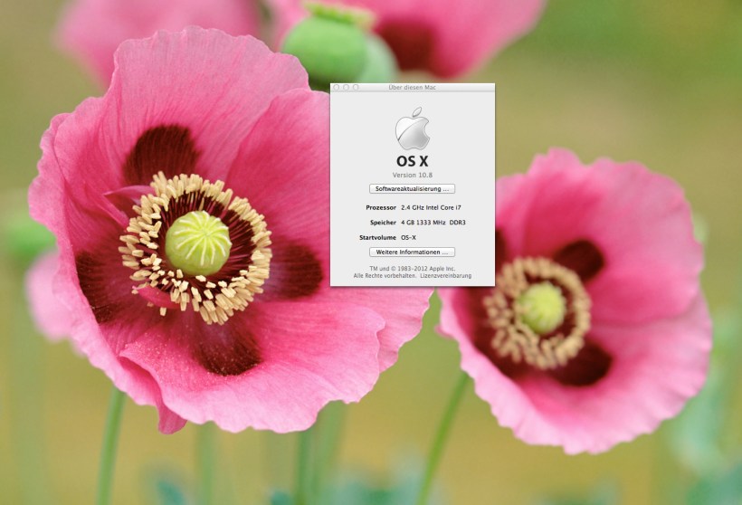Update erfolgreich - OS-X Berglöwe - Mountain Lion - 10.08