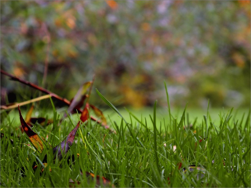 Beispielfoto - Sample Picture - Nikon P7100