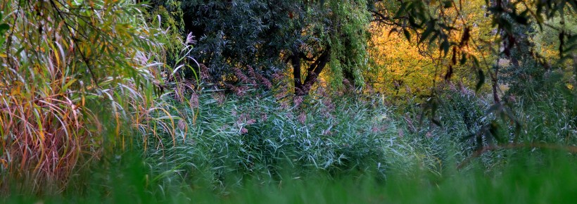 Beispielfoto - Sample Picture - Nikon P7100