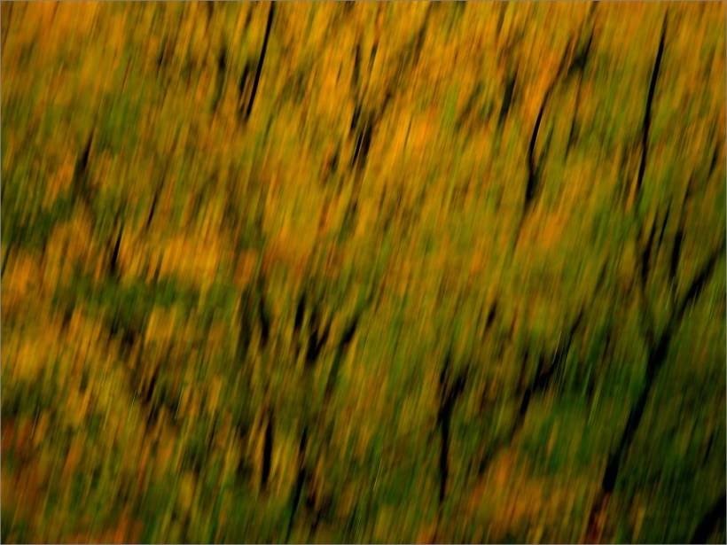 Sample Picture - Beispielfoto - Nikon P7100