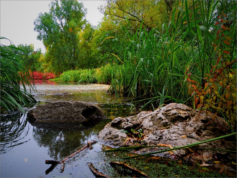 Beispielfoto - Sample Picture - Nikon P7100