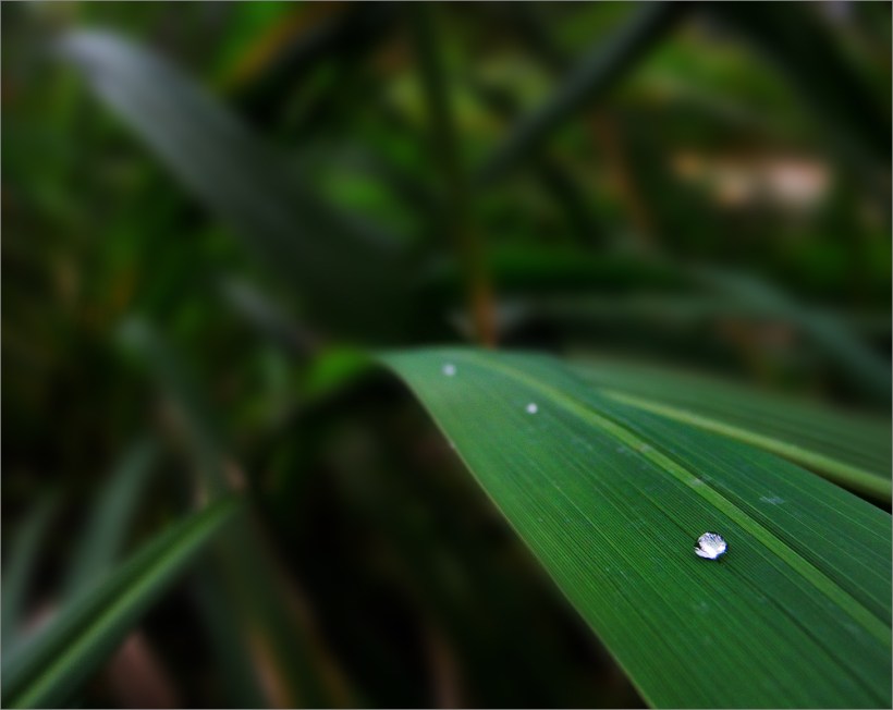 Beispielfoto - Sample Picture - Nikon P7100