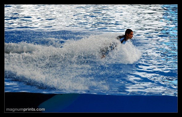 Loro Parque - Tenerife