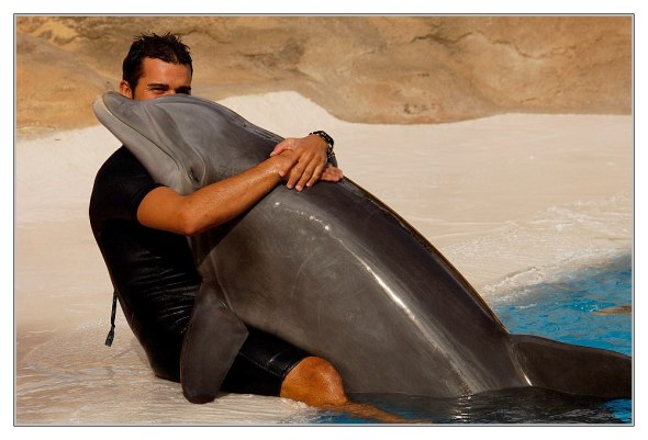 Loro Parque - Tenerife