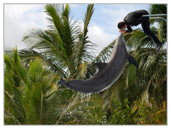Loro Parque - Tenerife
