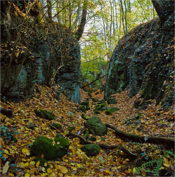 Stenzelberg mit Hasselblad Flexbody & Fuji Velvia 50