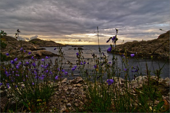 Nikon D300 - Norwegen - Norway
