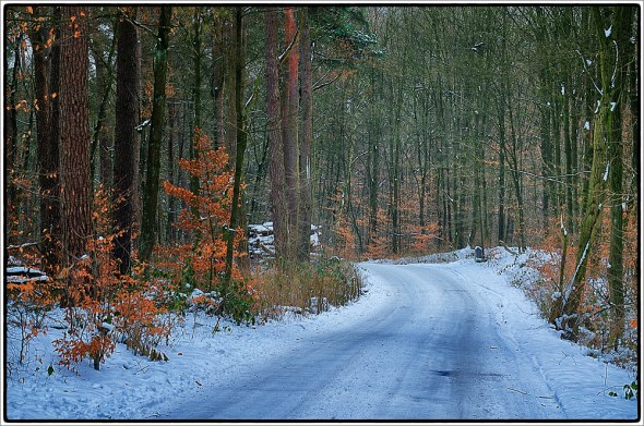 DSC_0002_SnapSeed_1000px