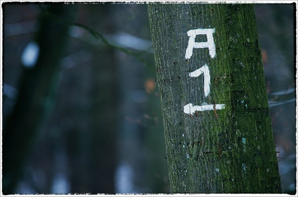 DSC_0023_Snapseed_1000px