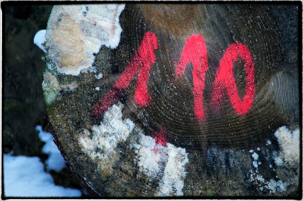 DSC_0048_Snapseed_1000px