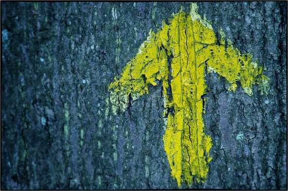 DSC_0069_Snapseed_1000px