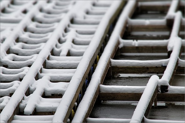 DSC_0085_Snapseed_1000px