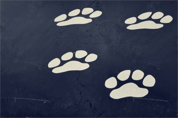 DSC_0086_Snapseed_1000px