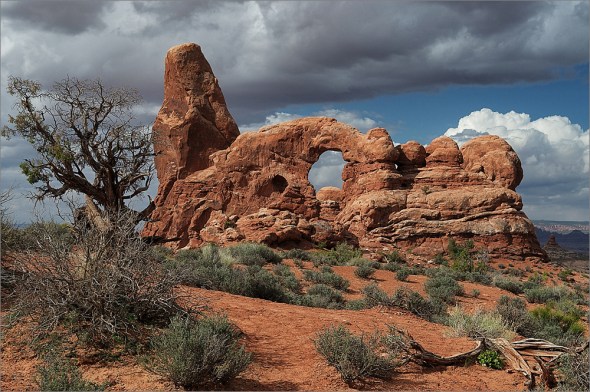 Nikon D300 - Arches National Park