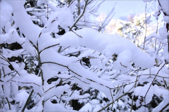 Nikon D2x - Nikon AF-S VR 18-299mm