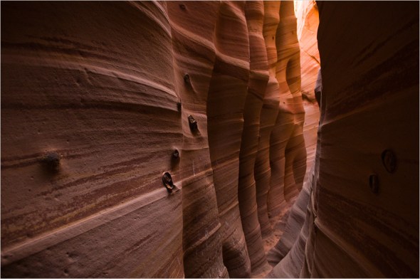 Nikon D300 - USA South West - 2009