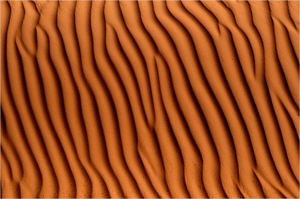 Nikon D300 - USA South West - 2009