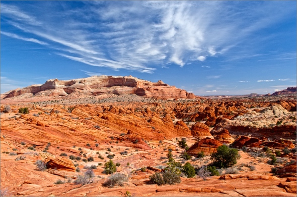 Nikon D300 - Coyote Buttes North - The Wave