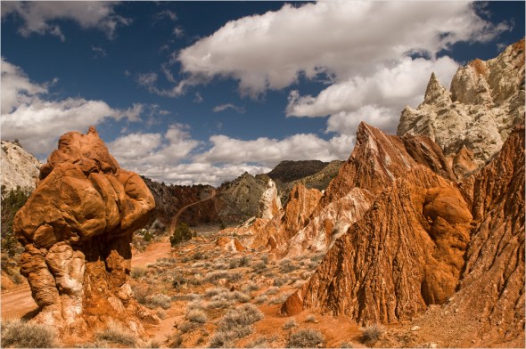 Nikon D300 - USA South West - 2009