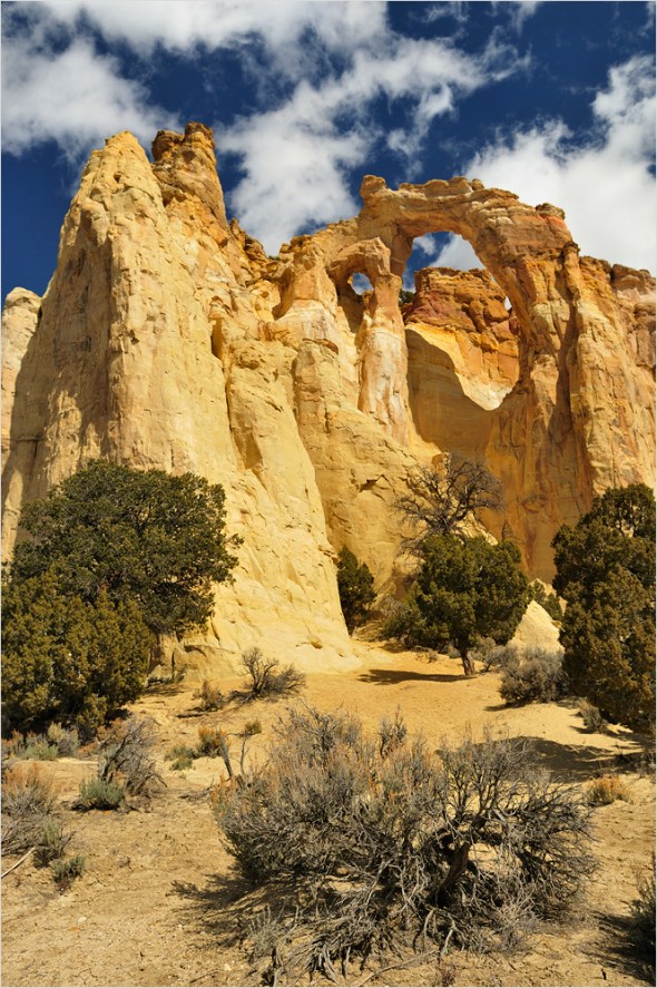 Nikon D300 - USA South West - 2009