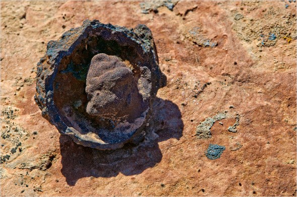 Nikon D300 - USA South West - 2009