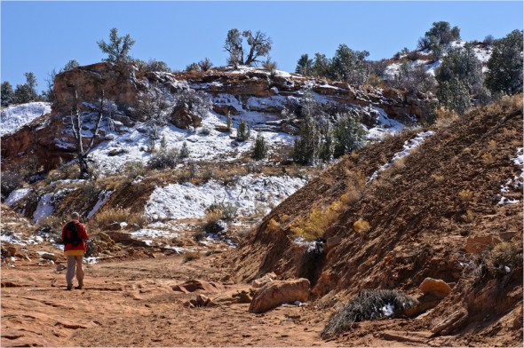 Nikon D300 - USA South West - 2009