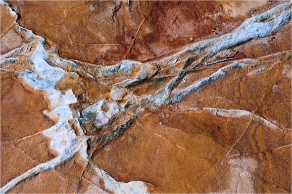 Nikon D300 - USA South West - 2009