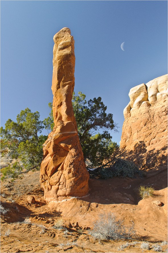 Nikon D300 - USA South West - 2009