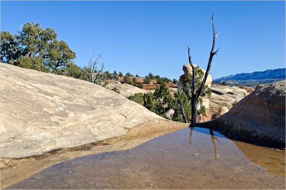 Nikon D300 - USA South West - 2009