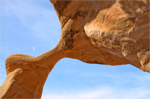 Nikon D300 - USA South West - 2009