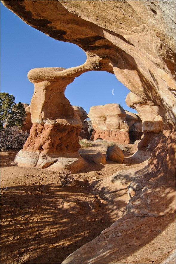 Nikon D300 - USA South West - 2009