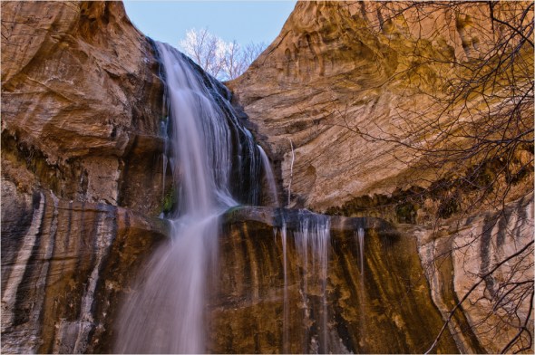 Nikon D300 - USA South West - 2009