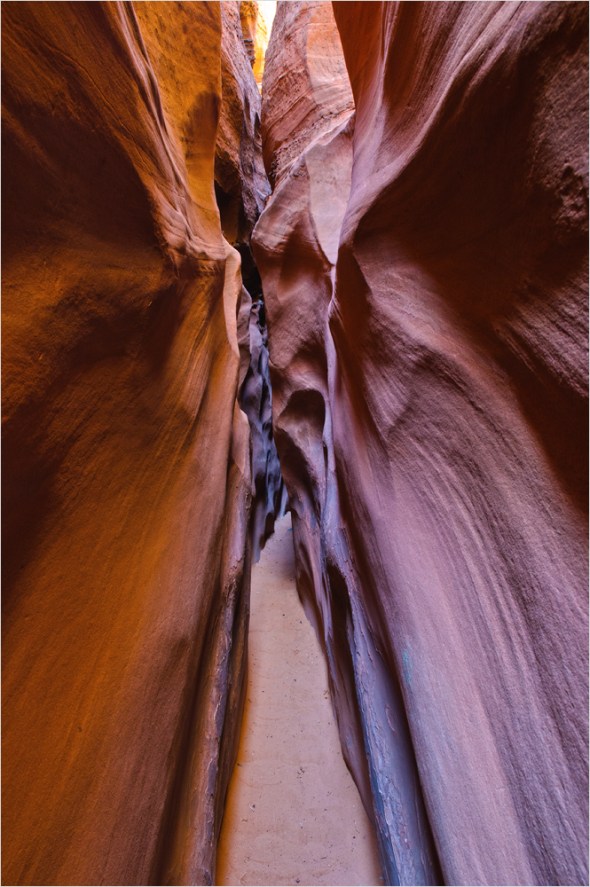 Nikon D300 - USA South West - 2009