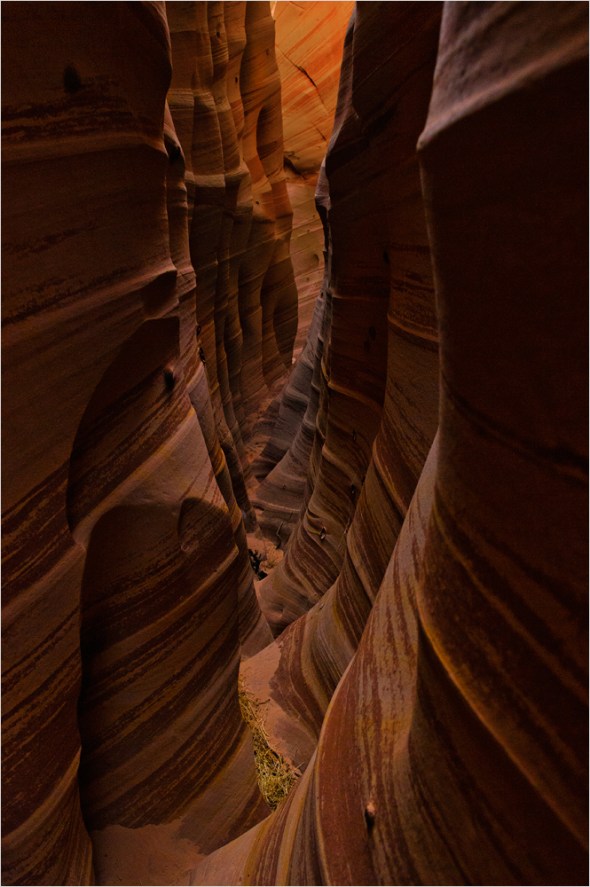 Nikon D300 - USA South West - 2009