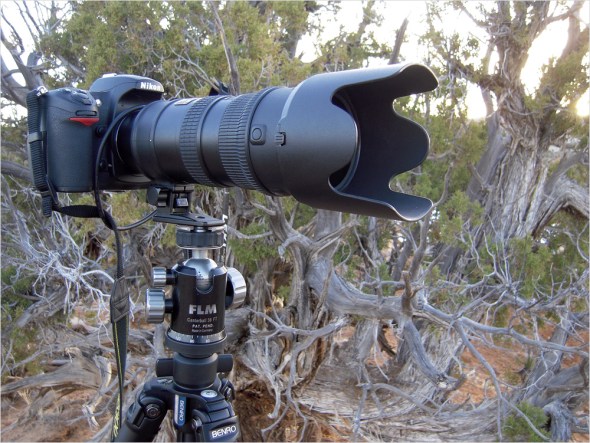 Nikon D300 - USA South West - 2009